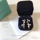 AAA Replica Tiffany And Co 925 Silver Paper Flowers Earrings (5)_th.jpg